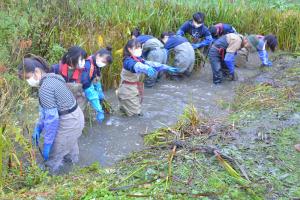 肌で感じるハサンベツの自然＊栗山高校生が自然体験学習