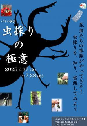 虫採りの極意　チラシ