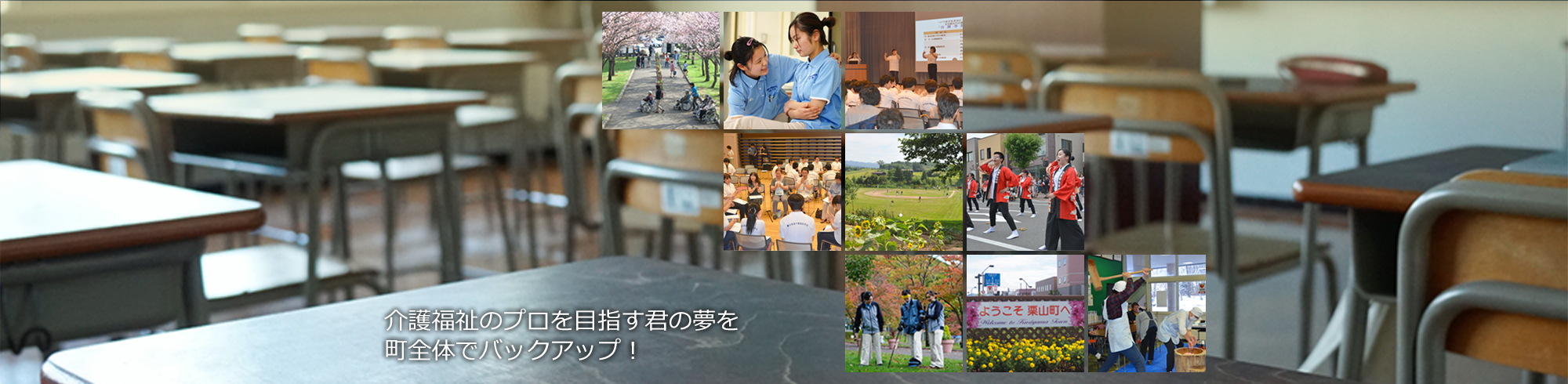 選ばれる理由